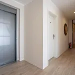 Appartement Solaris 20 Mit Garten, Sauna Und Hundefreundlicher Ausstattung